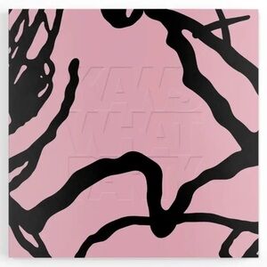 Kaws What Party Soft Cover Book
